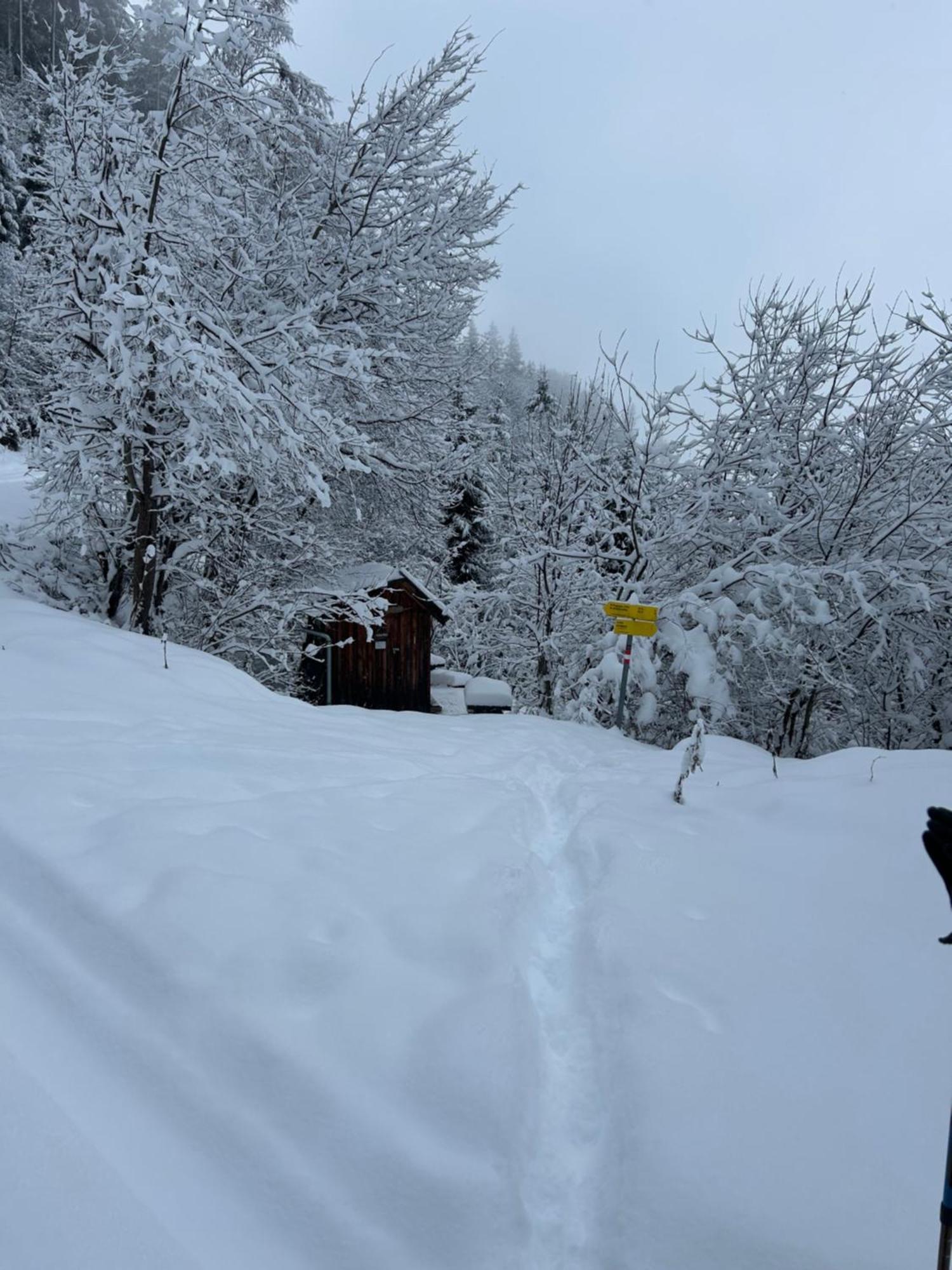 Haus Laubreuter Kaprun Exterior foto