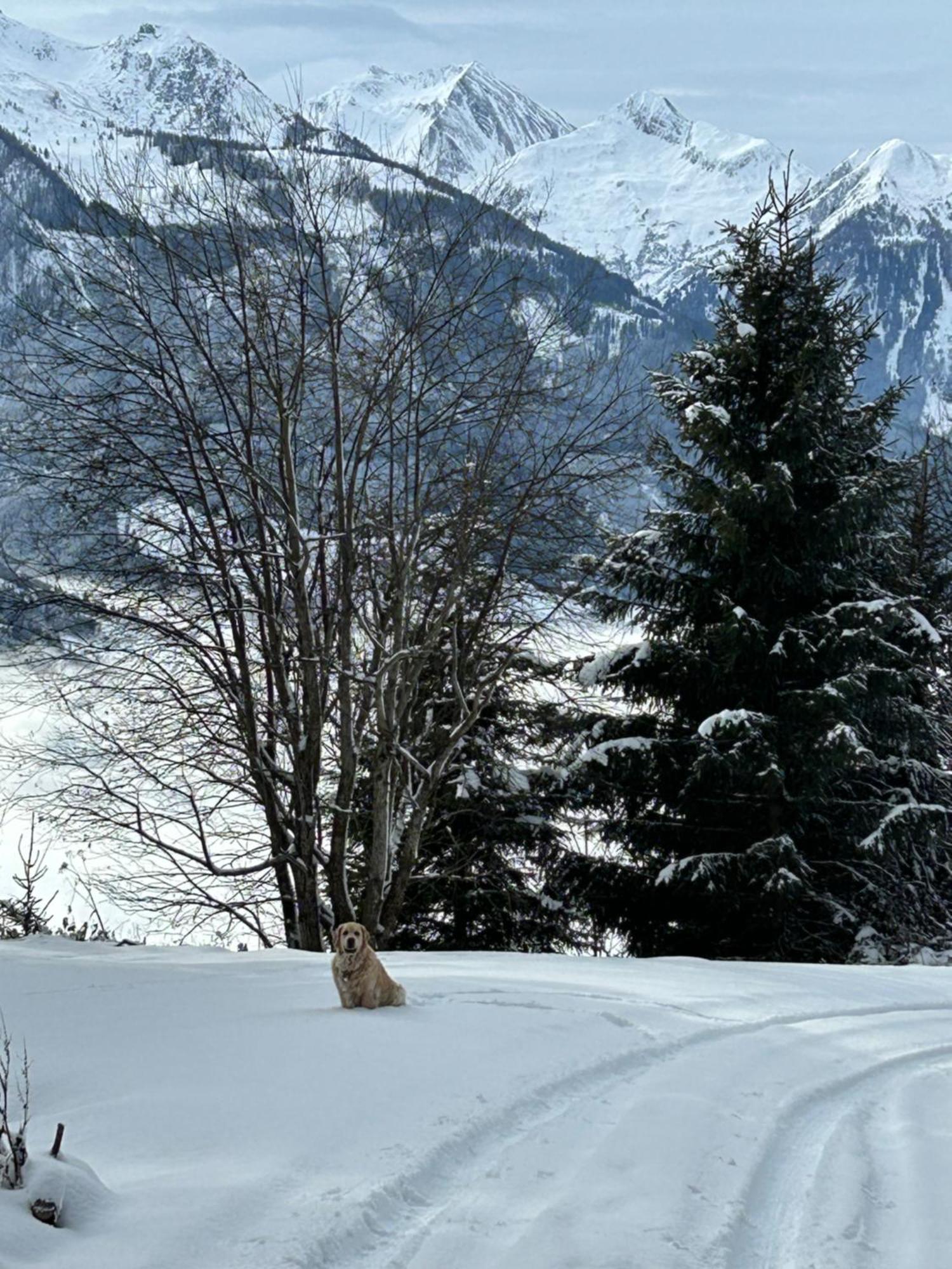Haus Laubreuter Kaprun Exterior foto